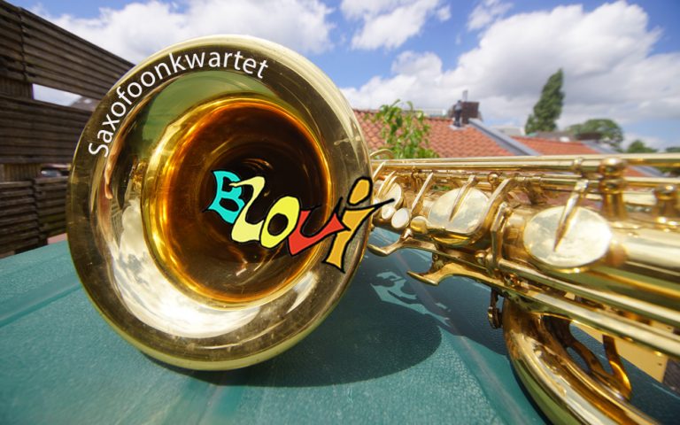Saxofoonkwartet Blovi
